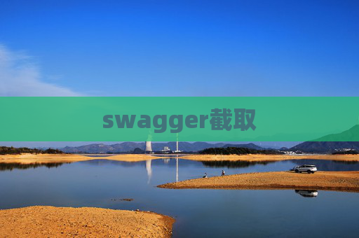 swagger截取